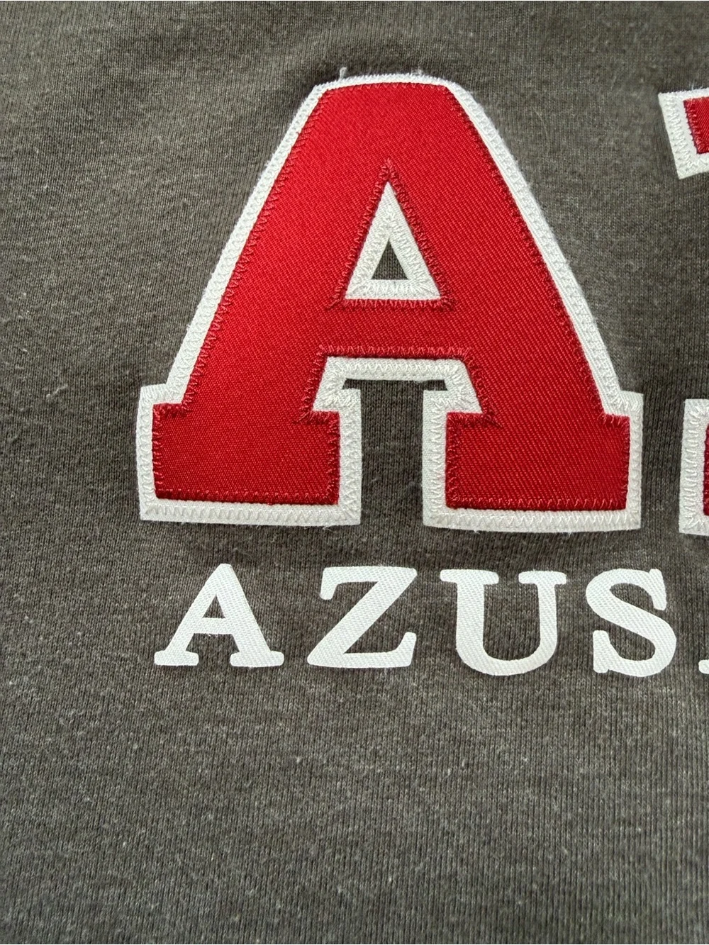 Vintage 90s JanSport Azusa Pacific University Pullover Sweatshirt APU Hoodie S